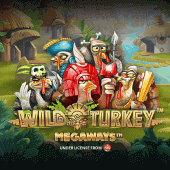 Pavo Salvaje Megaways game thumbnail